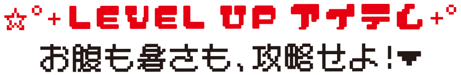 LevelUpアイテム お腹も暑さも、攻略せよ！
